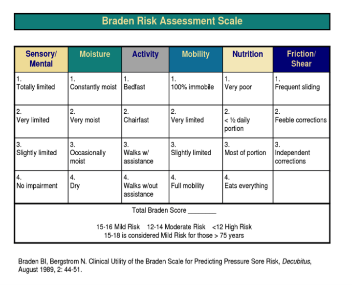 Braden Scale Assessment Tool Pictures to Pin on Pinterest PinsDaddy